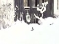 Kotek i śnieg