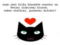 Czym jest kilka kłaczków sierści