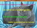 Co łączy faceta z kotem