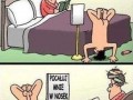 Noseek