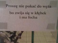 Proszę nie pukać do węża