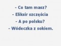 Co tam masz