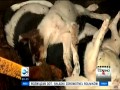 Przygotowania do Euro 2012 na Ukrainie
