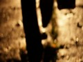 James Cook i IAMX - End Of Summer