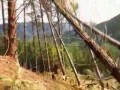 Drwale - Alaska 1