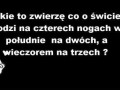 Jakie to zwierzę
