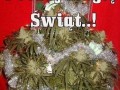 Poczuj magię Świąt!