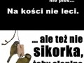 Facet nie pies