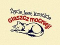 Życie jest za krótkie...
