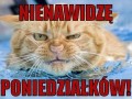Nienawidzę poniedziałków!