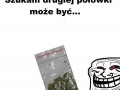 Szukam drugiej połówki
