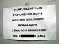 Waluta