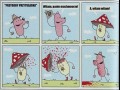 Przygody przytulaska
