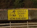 Uwaga dobry pies