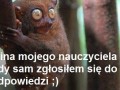 No, chyba nie sądzisz, że się zgłosił