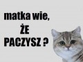 Matka wie, że paczysz
