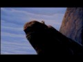 Simba