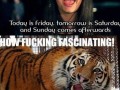 Rebecca Black
