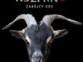 Koźmin 2