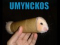 Umynckos