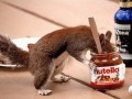 Nutella