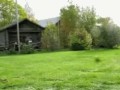 Kosiarka