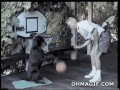 Piesek gra w kosza