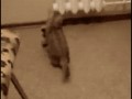Jump jump