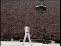 Freddie na koncercie
