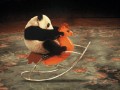 Panda bujana
