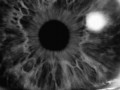 I see you