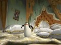 Madagaskar 3 - zwiastun (DUBBING PL)