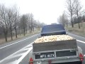 Transport bułek w Polsce