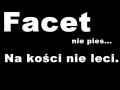 Facet nie pies