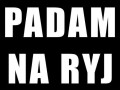 Ryj