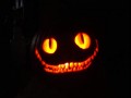 Cheshire