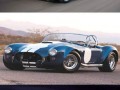 Muscle cars