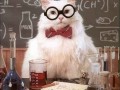 Chemist cat joke