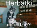 Herbatki