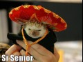 Si senior