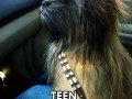 Chewie