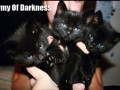 Army of darkness