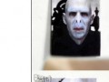 Voldie contact