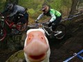 Hahaha!