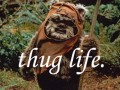 Thug life 