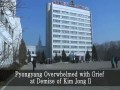 Prawdziwa reakcja Koreańczyków?