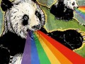 Pandas
