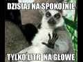 Dzisiaj na spokojnie