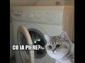 Co ja piere