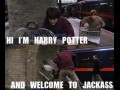 Jackass